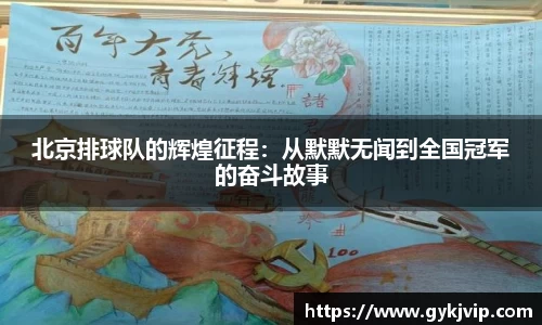 emc体育官方下载